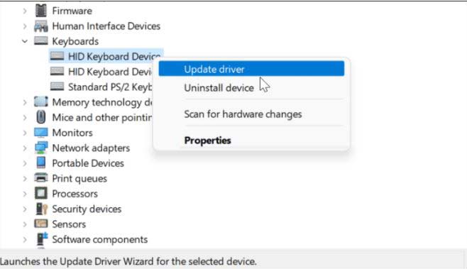 windows 11 keyboard driver update