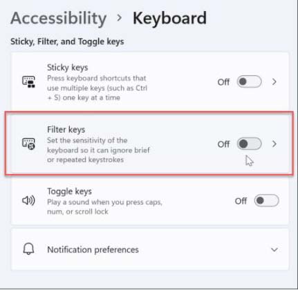 windows 11 filter keys